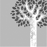 IM DESIGN PORTFOLIO 